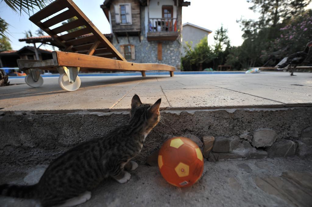 Olympos Koyevi Countryhouse Exterior foto